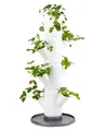 Sissi Strawberry (Starter, weiß) - Pflanzgefäß/Topf/Pflanzturm/Hochbeet für Erdbeeren - für Balkon, Garten und Terrasse - Erdbeeren und Kräuter anpflanzen