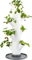Gusta Garden Hochbeet, Sissi Strawberry (Starter, weiß) - Pflanzgefäß/Topf/Pflanzturm/Hochbee
