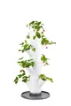 Gusta Garden 100569 Sissi Strawberry Erdbeerturm starter weiß (4 Etagen) (Erdbee