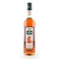 Mathieu Teisseire Barsirup Salt Caramel 700ml