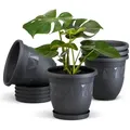Plastard Pflanzkübel 3er, 5er, 10er Sets, Blumentopf mit passenden Untersetzer 15 - 40 cm (5 St., Blumenkübel ist Witterungs-, frost- und UV-beständig) grau Ø 35 cm