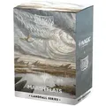 Dragon Shield X Magic: The Gathering - Marsh Flats - Matte Dual sleeves Landfall Series