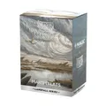 Dragon Shield   Matte Dual Art Sleeves   100 CT - Smooth & Tough Premium TCG Sle