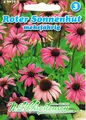 490725 Roter Sonnenhut   Saatgut Samen  Heilpflanze