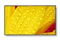 NEC MultiSync M651-2 LCD 65" Message Large Format Display 1000033744