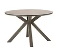 Dehner Gartentisch Marseille, 4 Sitzplätze, Ø 120 cm, Höhe 75 cm, Aluminium / Kunststoff, stilvoller Dining-Tisch, witterungsbeständig und robust