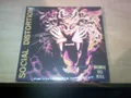 Social Distortion - Born To Kill  CD   NEU  (2026)
