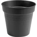 Elho Anzuchttopf Green Basics Ø 24 cm,iving schwarz