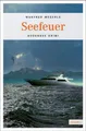 Manfred Megerle | Seefeuer | Taschenbuch | Deutsch (2008) | Bodensee Krimi