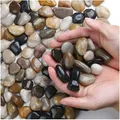 Steine Kiesel Dekorativ Poliert Naturkiesel 2cm 1,8kg