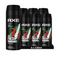 AXE Bodyspray Africa, ohne Aluminiumsalze (6 x 150ml)