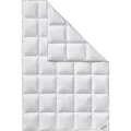 FJÖDUR Ganzjahresbettdecke Daunen (155 x 220 cm)