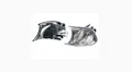 VAN WEZEL Blinkleuchte 0647907 BMW 3er Coupe (E46) BMW 3er Cabrio (E46) links
