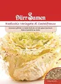 Radicchio Samen Variegata di castelfranco Chicoree Zichoriensalat Rot Weißer Radicchiosamen Salat ca 150 Korn Saatgut Balkon Garten Hochbeet Kübel Dürr Samen