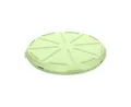elasto Aufbewahrungssystem Pizzabox 'ToGo' robuste Transportbox Ø 36 cm für unterwegs