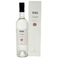 Antinori, Grappa Tignanello in GP