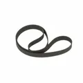 Braun PS 550 S Riemen Drive Belt Courroie Cinghia Plattenspieler Turntable