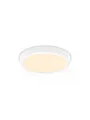 Philips MAGNEOS SF DL252 RD 284 20W 27K WH 06