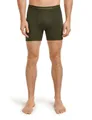 Icebreaker Boxershorts Anatomica (Merinowolle) Unterwäsche loden dunkelgrün Herren