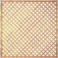 T&J Diagonal-Rankzaun MW 6x6 cm Rankgitter Sichtschutzzaun, 180x180 cm