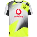 PUMA Borussia Dortmund 25-26 Auswärts Teamtrikot Herren in silver mist-yellow alert, Größe M