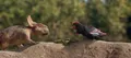 DINOSAURIER-IM REICH DER GIGANTEN 2D-VERSION - JOHN CARNOCHAN -  DVD NEU
