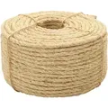 Seil 100% Sisal 6 Mm 100 M Vidaxl