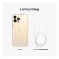 Apple iPhone 13 Pro Max (128GB) - Gold