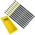 10 x SabreCut SCTX15152_10 152mm T15 TX15 Magnetische Schlagschrauber Bohrerbits-Set Torx Hochleistung für Dewalt Milwaukee Bosch Makita und weitere