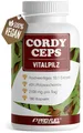 Cordyceps Kapseln 180x - 2100 mg Vitalpilz-Extrakt aus Cordyceps sinensis - hochwertiges 10:1-Extrakt mit 40% bioaktiven Polysacchariden (840 mg pro Tag) - Vorrat für 60 Tage