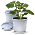 Plastard Pflanzkübel 3er, 5er, 10er Sets, Blumentopf mit passenden Untersetzer 15 - 40 cm (3 St., Blumenkübel ist Witterungs-, frost- und UV-beständig) weiß Ø 24 cm