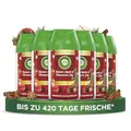 Air Wick Freshmatic Max Nachfüller Baked Apple & Cinnamon Joy 6x250ml