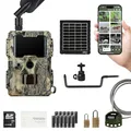 DÖRR Cloud Mini 4G/LTE Wildkamera, Solar-Set, Überwachungskamera, Simlockfrei, iOS/Android/Web App, 4G Bild-& Videoversand, 12MP Bilder, Full HD 1080P Videos, Infrarotblitz, Fotofalle, Bewegungsmelder