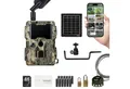 Dörr Wildkamera DÖRR Cloud Mini 4G/LTE Überwachungskamera, Simlockfrei, 12MP, Full HD (Außenbereich, Innenbereich, DÖRR App für iOS, Android & Web, 4G Bild-& Videoversand, Infrarotblitz)