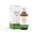 Pflügerplex Neuralgie L 189 H 50 ml Tropfen