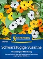 Kiepenkerl Schwarzäugige Susanne-Samen Thunbergien Mischung 1065460 - Kletterpflanze - Dauerblüher - bunte Blüten - einjährig - Saatgut, Pflanzen, Blumensamen