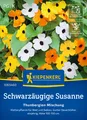Kiepenkerl Blumensamen Schwarzäugige Susanne Thunbergien Mix, für ca 20 Pflanzen