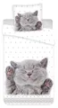 Kätzchen Wende-Bettwäsche-Set 135x200 80x80 Bettzeug Katze Kater Kitten Welpe