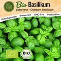 Basilikum Samen (BIO) - 500 Samen Kräutersamen Basilikumsamen Genoveser