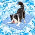 Kühlmatte für Hunde 90x70 cm, Plus Version, Selbstkühlend mit ArcChillGewebe,...