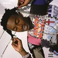 Playboi Carti [Vinyl LP]