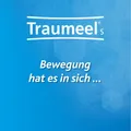 TRAUMEEL S Creme 100 g PZN 01292358
