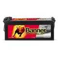 12V 225Ah 1150A Banner Buffalo Bull SHD PRO 72503 LKW Batterie