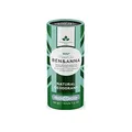 BEN & ANNA MINT - Natürliches Deo-Stick für Herren und Damen | Vegan & Naturkosmetik | Nachhaltig in Papertube | Gegen starkes Schwitzen | Aluminiumfrei (40 g (1er Pack), Minze)