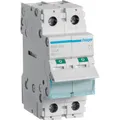 Hager SBN299 (SBN299)