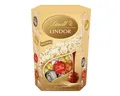 LINDT Schokolade, Lindt Lindor Cornet Mischung mit zartschmelzenden Füllungen 500g