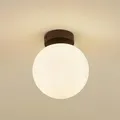 Lucande Deckenlampe 'Bidolo' (spritzwassergeschützt in Schwarz aus Glas (1 flamm