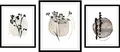 Bild "Set Hamara", (1 St.), gerahmt Farbe Rahmen: schwarz + Farbe Bild(er): beige B/H: 30 cm x 40 cm