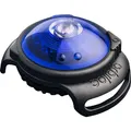 Orbiloc Dog Dual Safety Light Hundelicht mit Befestigungsgummi, Blau