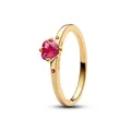 Pandora Explosion der Liebe Ring 166574C01 Damenring